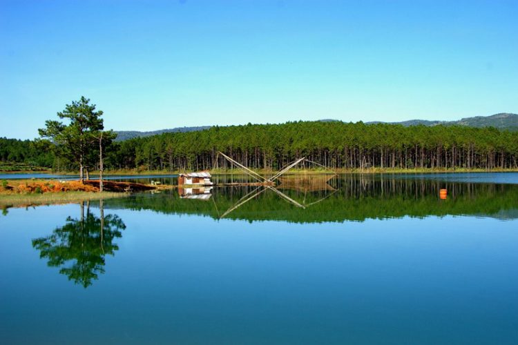 Hồ Tuyền Lâm nhẹ nhàng thơ mộng